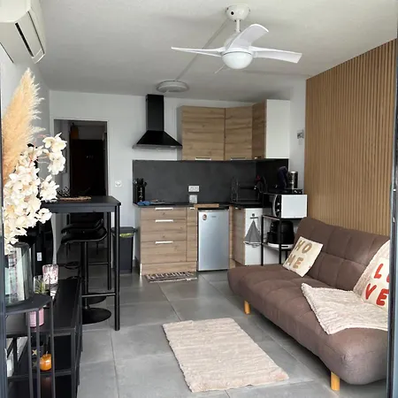 T2 Dans Jolie Avec Piscine Apartment Le Barcarès